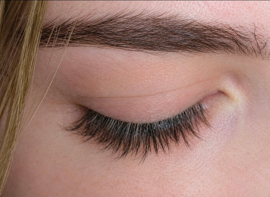 Pre Mapped Lash Bundle